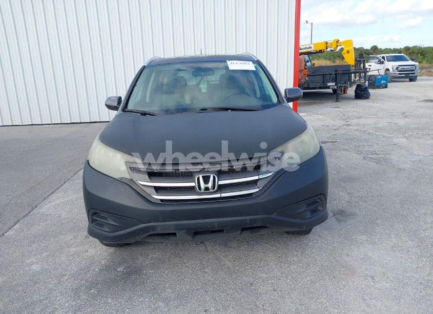Photo 12 of 2012 Honda Cr-v EX-L (VIN 5J6RM3H75CL043812)