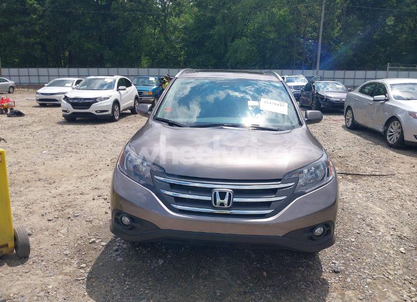 Photo 13 of 2014 Honda Cr-v EX-L (VIN 5J6RM3H76EL009235)