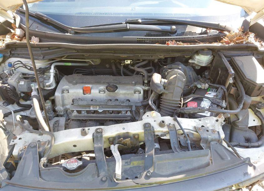 Photo 10 of 2014 Honda Cr-v EX-L (VIN 5J6RM3H78EL042706)