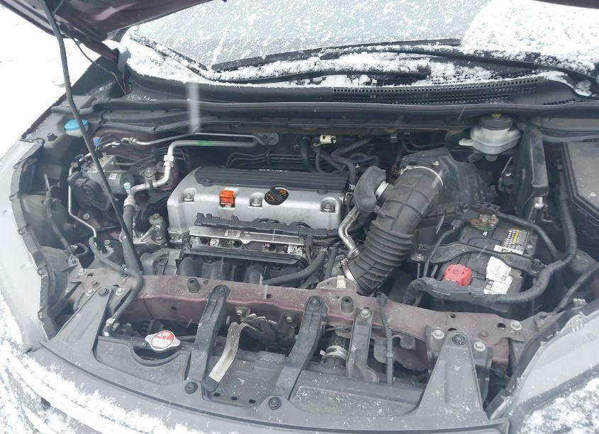 Photo 10 of 2014 Honda Cr-v EX-L (VIN 5J6RM3H7XEL023025)