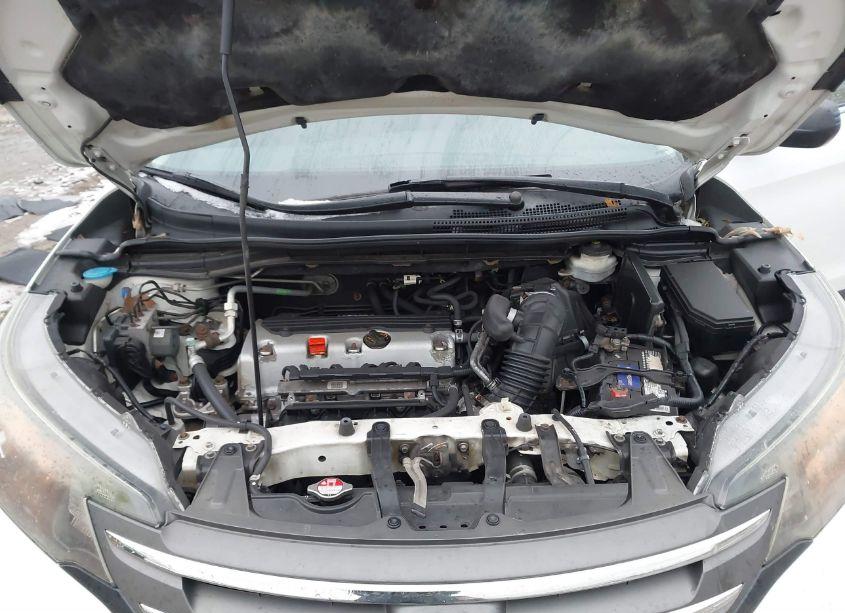 Photo 10 of 2014 Honda Cr-v LX (VIN 5J6RM4H31EL004821)