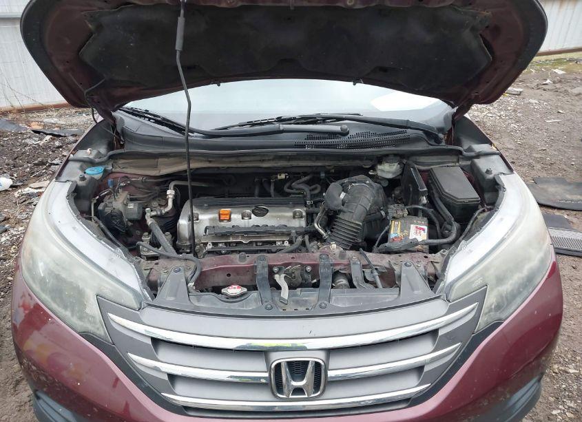 Photo 10 of 2014 Honda Cr-v LX (VIN 5J6RM4H32EL098966)