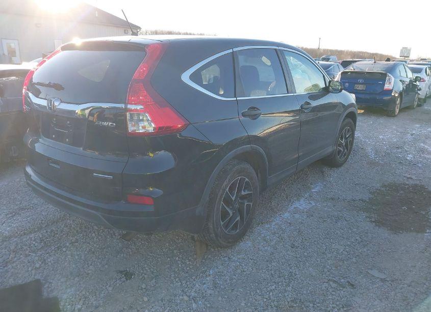 Photo 4 of 2016 Honda Cr-v SE (VIN 5J6RM4H40GL016695)