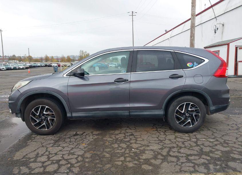 Photo 15 of 2016 Honda Cr-v SE (VIN 5J6RM4H42GL029979)