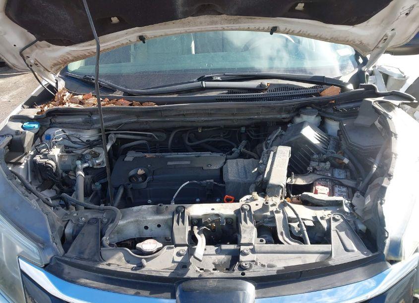 Photo 10 of 2016 Honda Cr-v SE (VIN 5J6RM4H48GL102854)