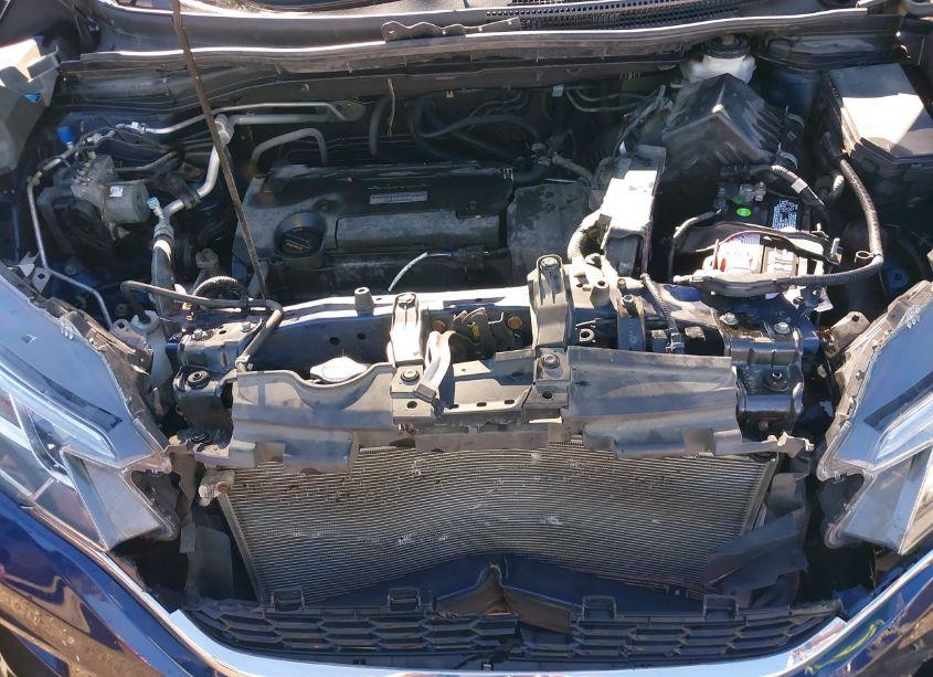 Photo 10 of 2016 Honda Cr-v SE (VIN 5J6RM4H4XGL037957)