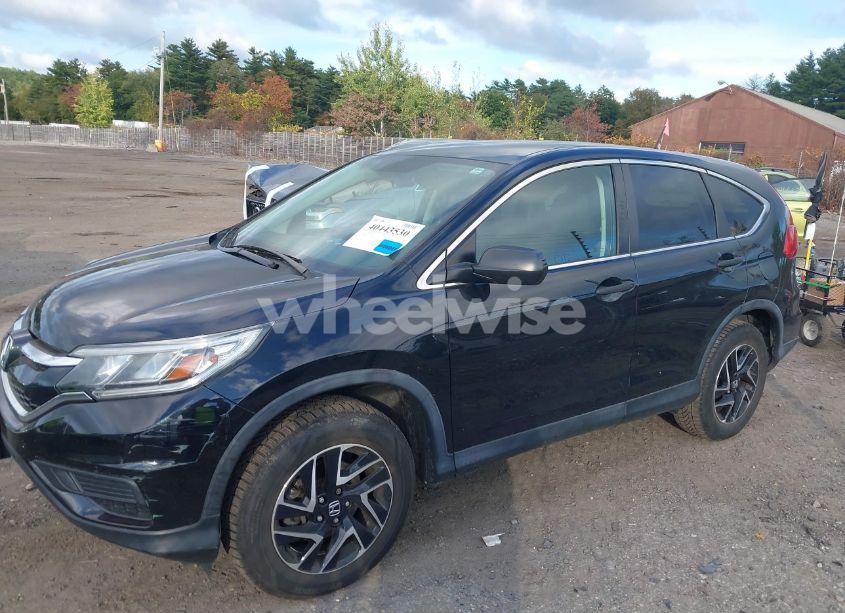 Photo 14 of 2016 Honda Cr-v SE (VIN 5J6RM4H4XGL117159)