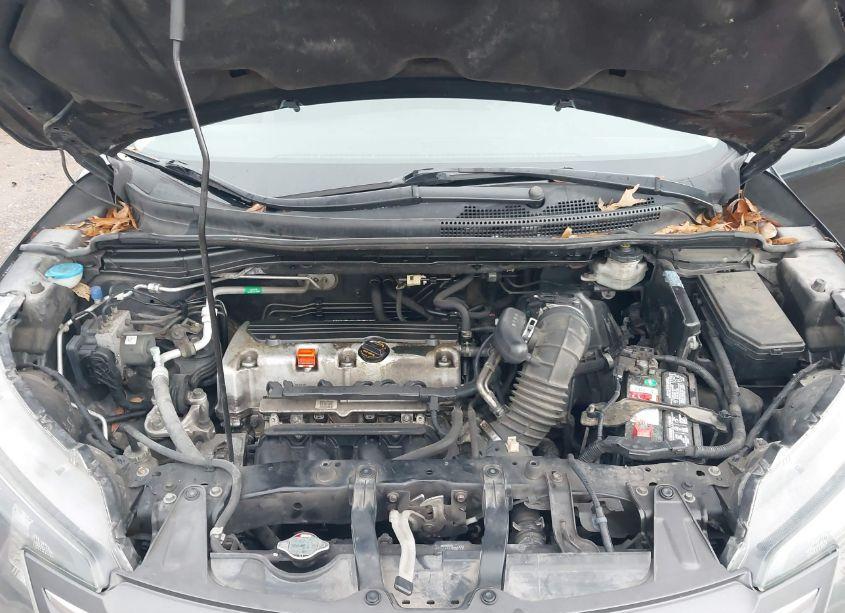 Photo 10 of 2014 Honda Cr-v EX (VIN 5J6RM4H50EL063036)