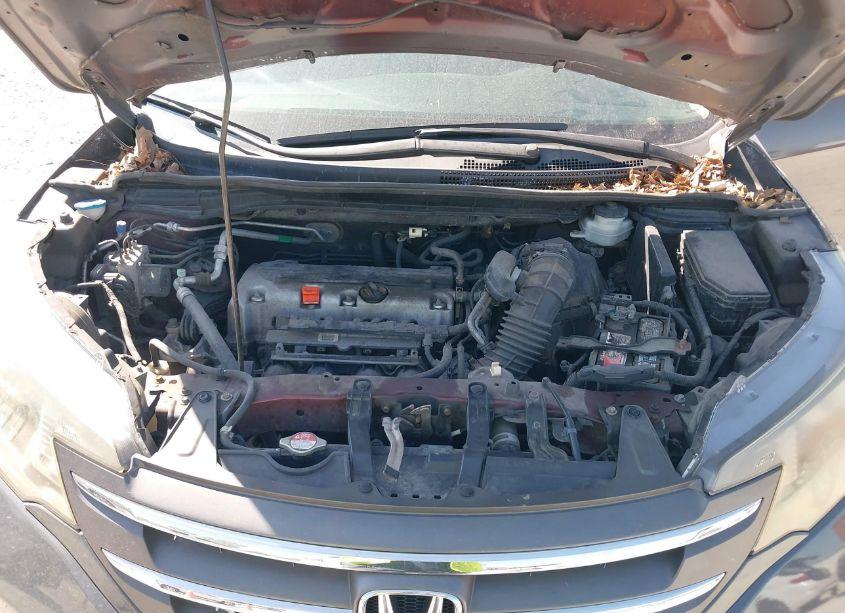 Photo 10 of 2014 Honda Cr-v EX (VIN 5J6RM4H52EL028854)