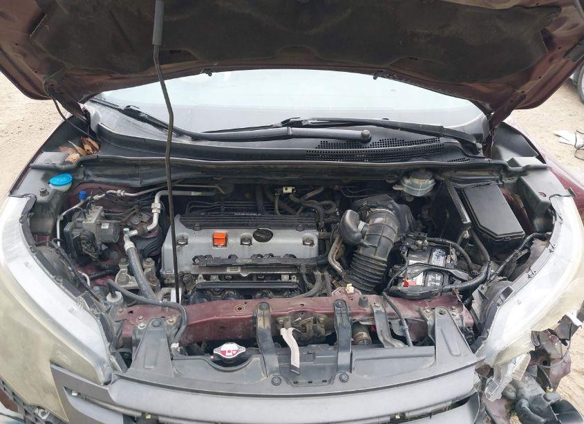 Photo 10 of 2014 Honda Cr-v EX (VIN 5J6RM4H55EL108004)