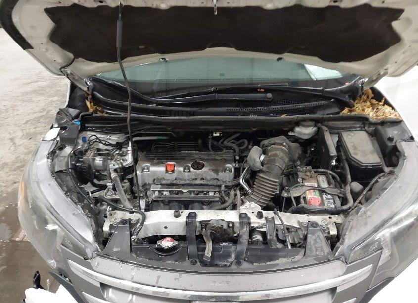 Photo 10 of 2014 Honda Cr-v EX-L (VIN 5J6RM4H71EL033643)