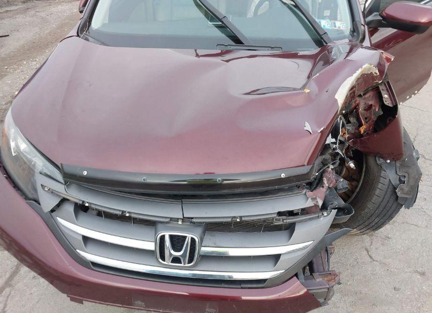 Photo 10 of 2014 Honda Cr-v EX-L (VIN 5J6RM4H71EL090151)