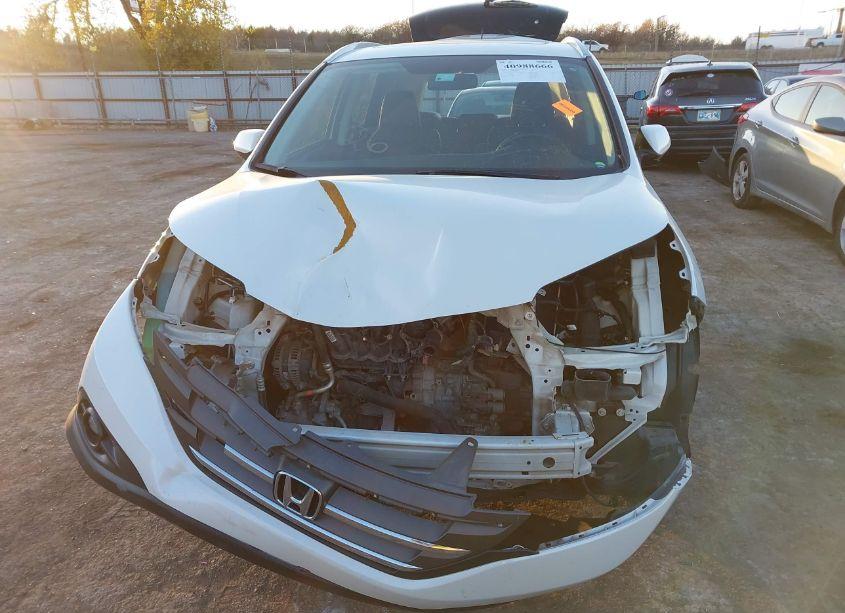 Photo 6 of 2014 Honda Cr-v EX-L (VIN 5J6RM4H72EL013305)