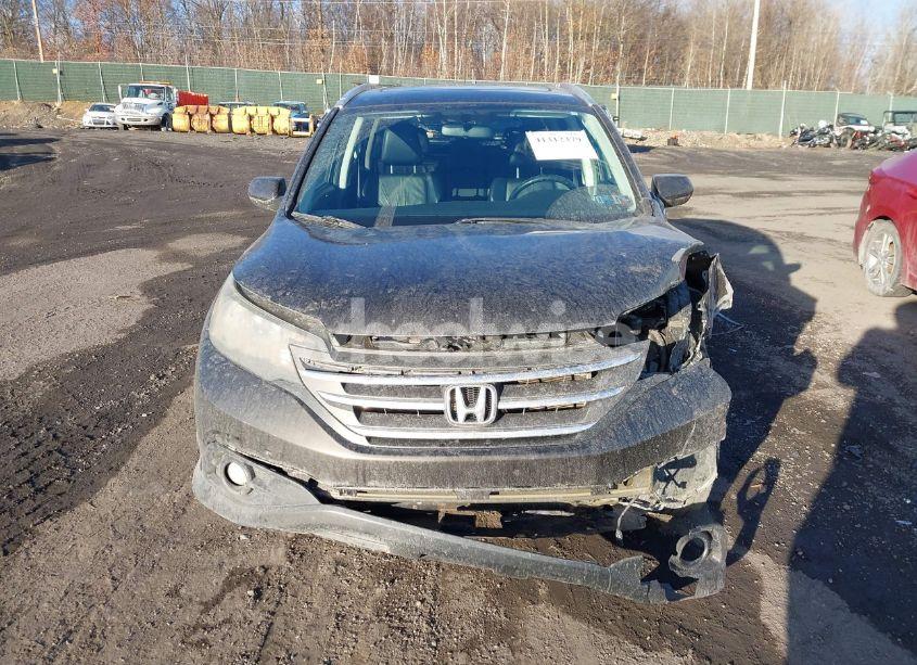 Photo 12 of 2013 Honda Cr-v EX-L (VIN 5J6RM4H73DL025543)