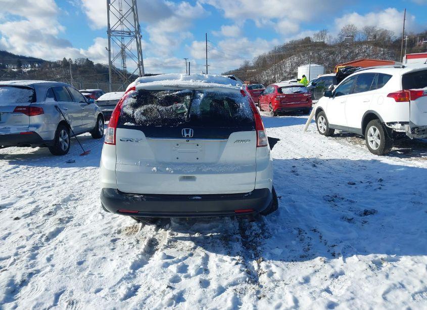 Photo 16 of 2014 Honda Cr-v EX-L (VIN 5J6RM4H73EL079846)