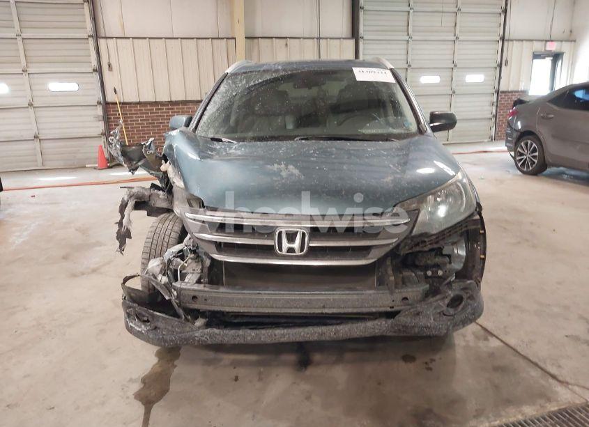 Photo 12 of 2014 Honda Cr-v EX-L (VIN 5J6RM4H74EL075904)