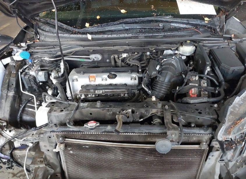 Photo 10 of 2014 Honda Cr-v EX-L (VIN 5J6RM4H74EL108724)