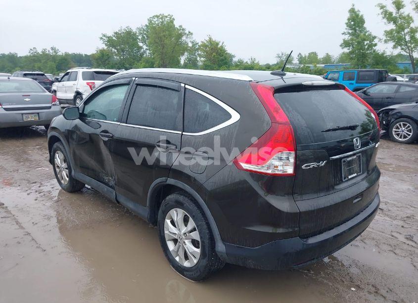 Photo 3 of 2014 Honda Cr-v EX-L (VIN 5J6RM4H76EL037154)