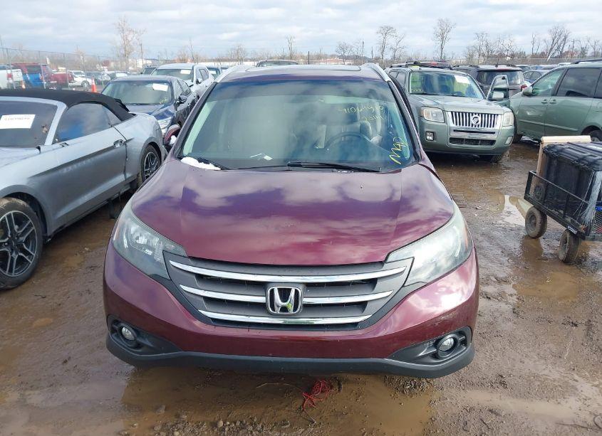 Photo 12 of 2014 Honda Cr-v EX-L (VIN 5J6RM4H76EL070400)