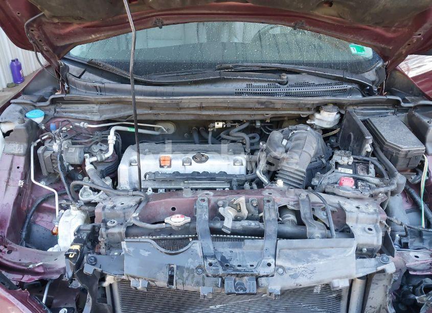 Photo 10 of 2014 Honda Cr-v EX-L (VIN 5J6RM4H77EL065917)