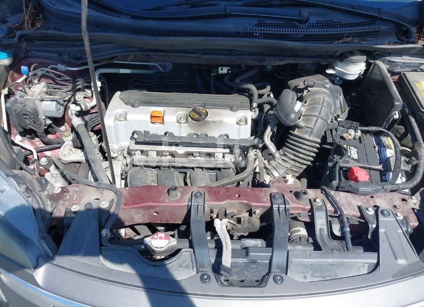 Photo 10 of 2014 Honda Cr-v EX-L (VIN 5J6RM4H78EL016242)