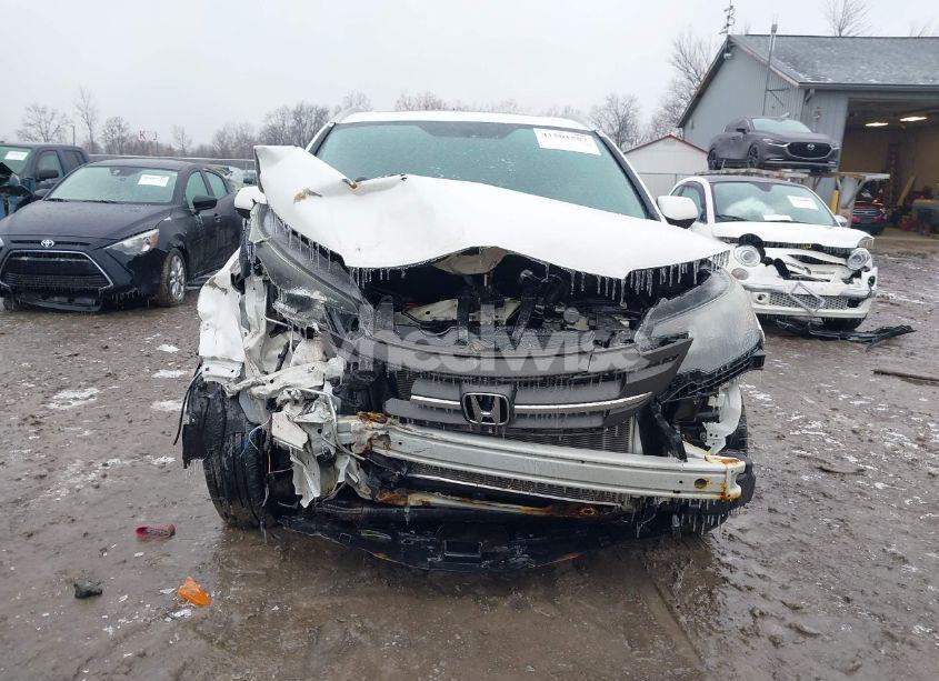 Photo 12 of 2014 Honda Cr-v EX-L (VIN 5J6RM4H78EL032330)