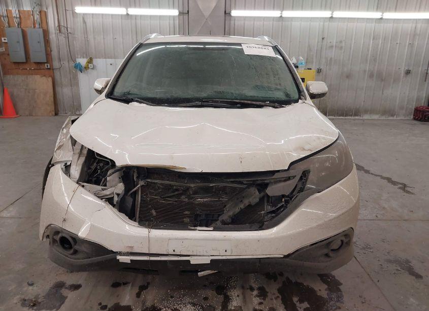 Photo 13 of 2014 Honda Cr-v EX-L (VIN 5J6RM4H79EL094139)