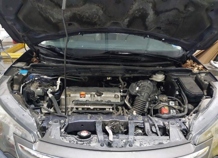 Photo 10 of 2013 Honda Cr-v EX-L (VIN 5J6RM4H7XDL059821)