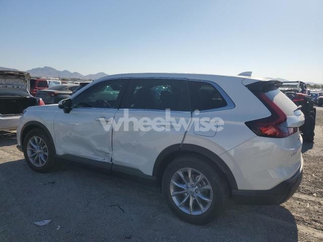 Photo 11 of 2025 HONDA CR-V EXL N/A (VIN 5J6RS3H76SL015263)