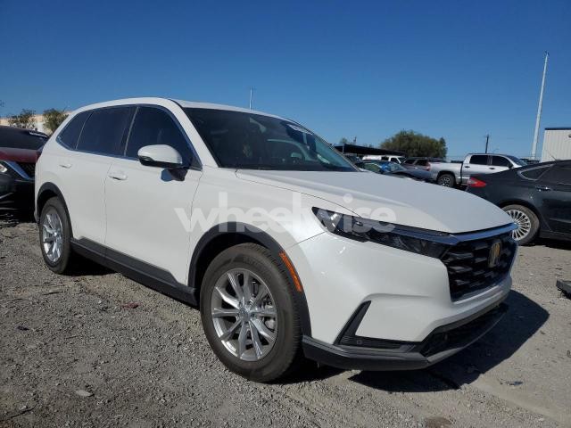 Photo 6 of 2025 HONDA CR-V EXL N/A (VIN 5J6RS3H76SL015263)