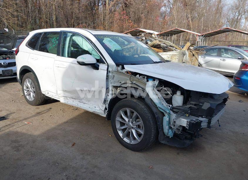 2023 Honda Cr-v EX AWD (VIN 5J6RS4H46PL003469) main photo
