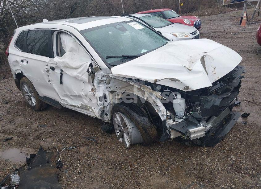 2024 Honda Cr-v EX (VIN 5J6RS4H46RL005063) main photo