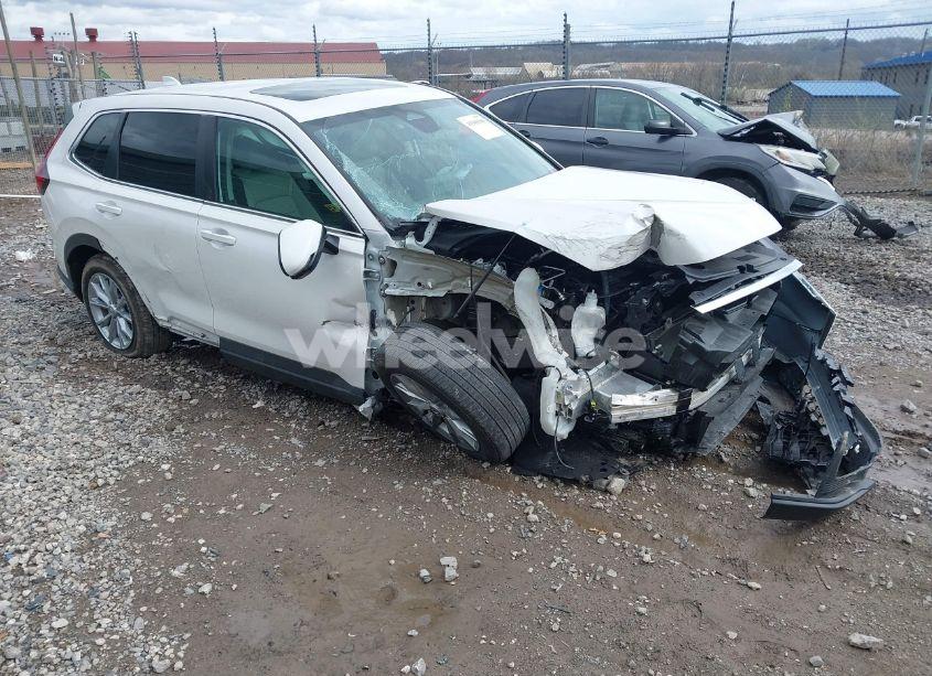 2024 Honda Cr-v EX AWD (VIN 5J6RS4H48RL015030) main photo