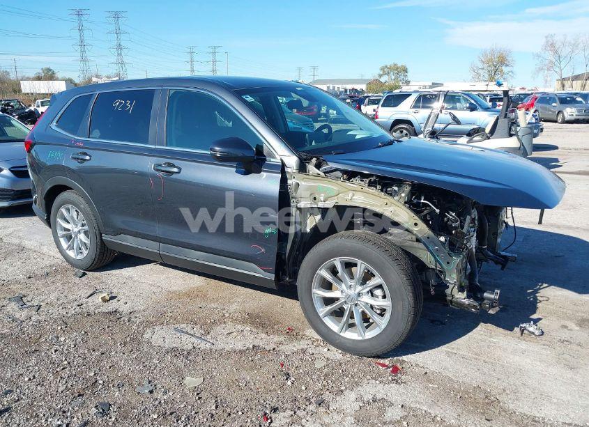 2024 Honda Cr-v EX AWD (VIN 5J6RS4H49RL014811) main photo