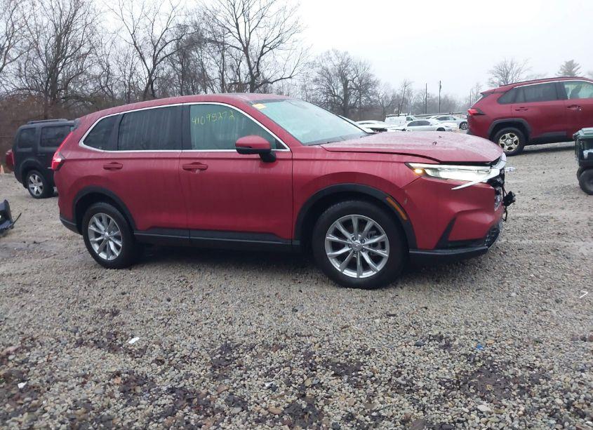 Photo 13 of 2025 Honda Cr-v EX-L AWD (VIN 5J6RS4H72SL003455)