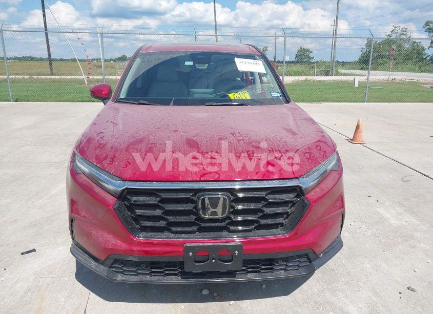 Photo 12 of 2024 Honda Cr-v EX-L AWD (VIN 5J6RS4H74RL011390)