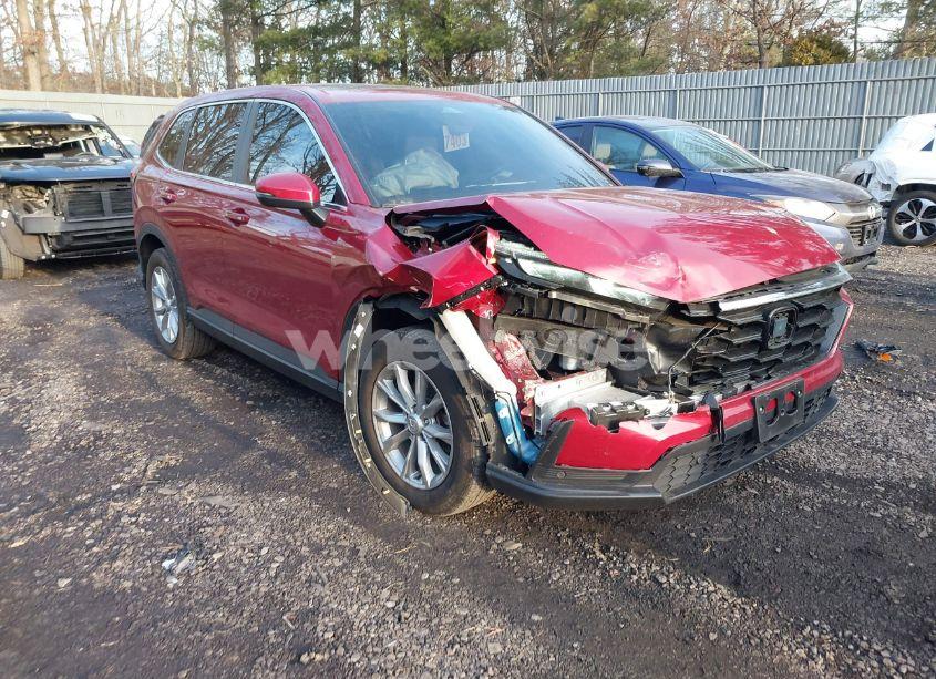 2024 Honda Cr-v EX-L AWD (VIN 5J6RS4H77RL011352) main photo