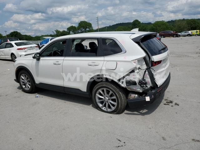 Photo 10 of 2023 HONDA CR-V EXL N/A (VIN 5J6RS4H7XPL003369)