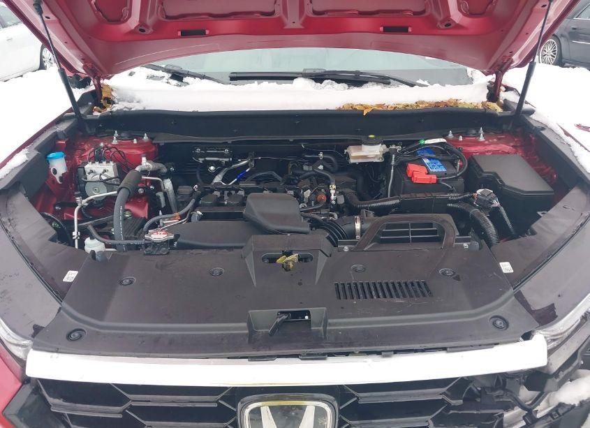Photo 10 of 2024 Honda Cr-v EX-L AWD (VIN 5J6RS4H7XRL016173)