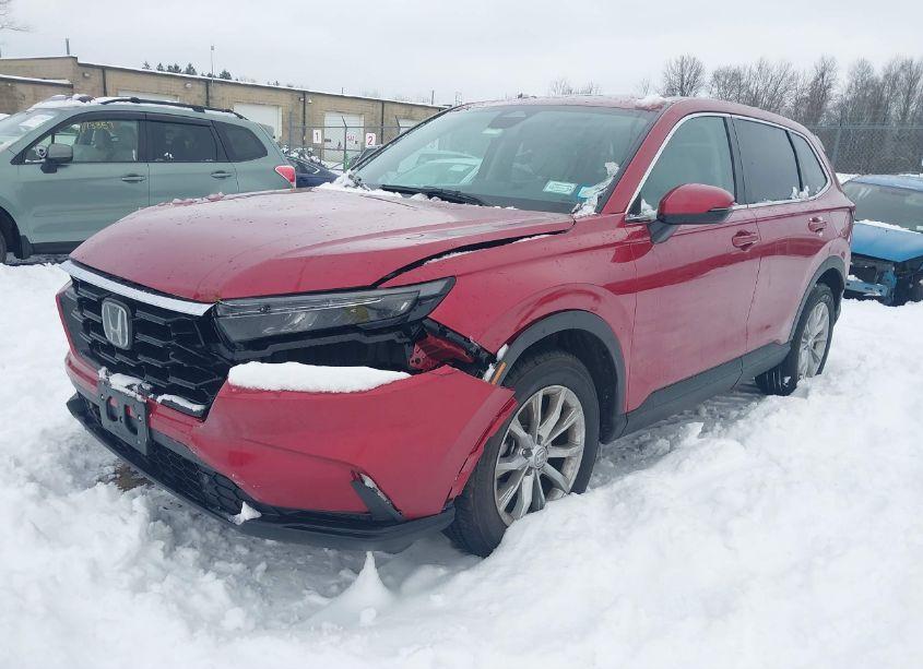 Photo 2 of 2024 Honda Cr-v EX-L AWD (VIN 5J6RS4H7XRL016173)