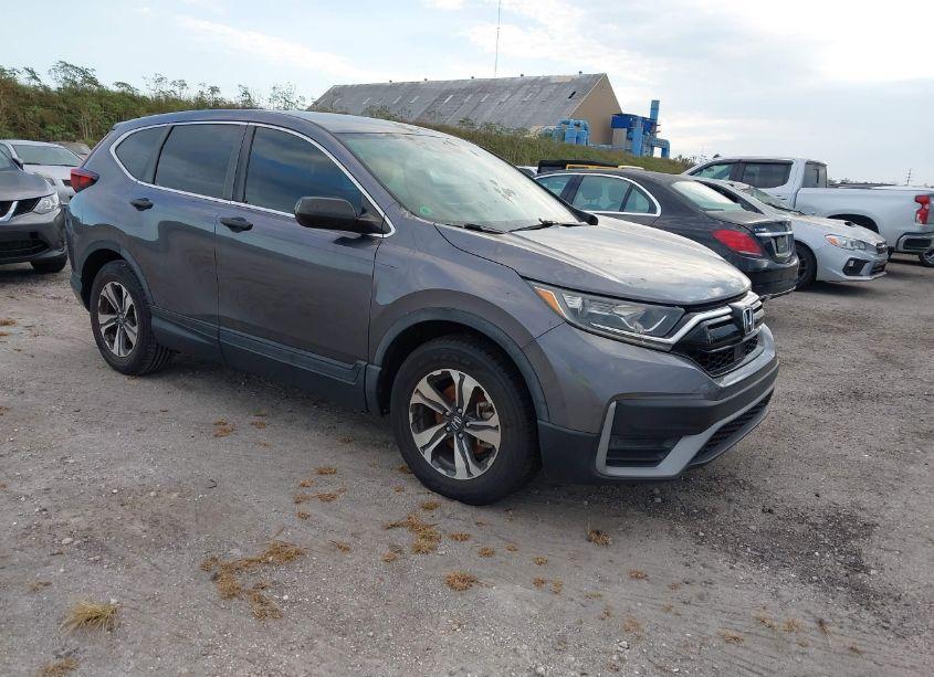 2020 Honda Cr-v 2WD LX (VIN 5J6RW1H24LL006396) main photo