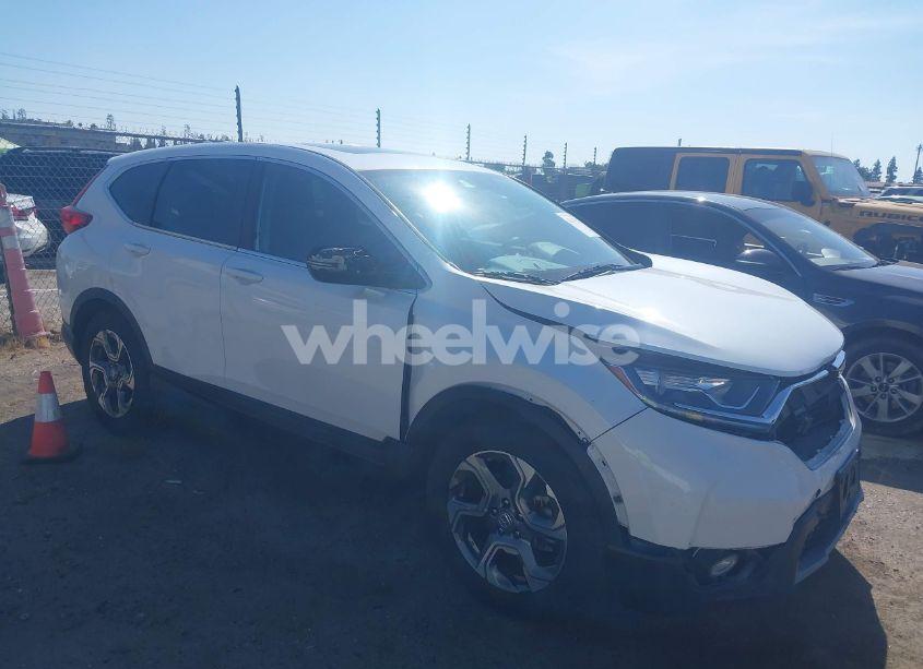 2019 Honda Cr-v EX (VIN 5J6RW1H54KA020531) main photo
