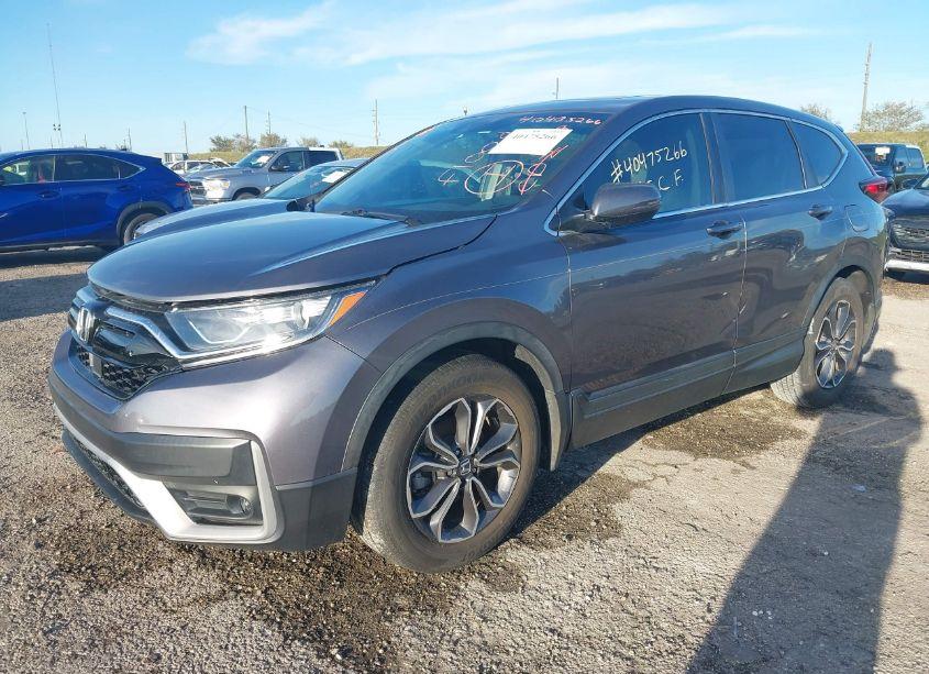 Photo 2 of 2021 Honda Cr-v 2WD EX (VIN 5J6RW1H55ML007097)