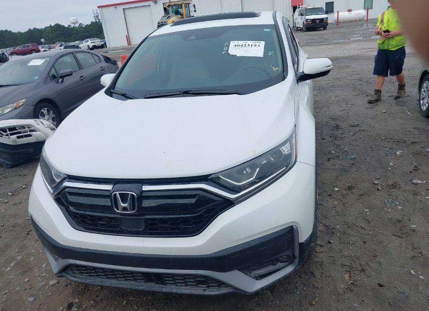 Photo 12 of 2020 Honda Cr-v 2WD EX (VIN 5J6RW1H56LL014560)