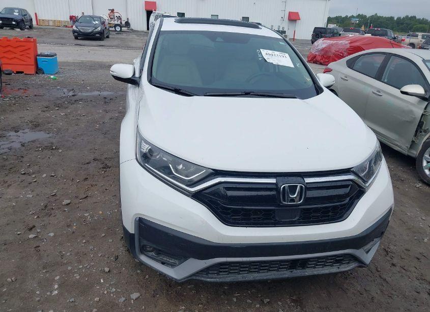 Photo 6 of 2020 Honda Cr-v 2WD EX (VIN 5J6RW1H56LL014560)