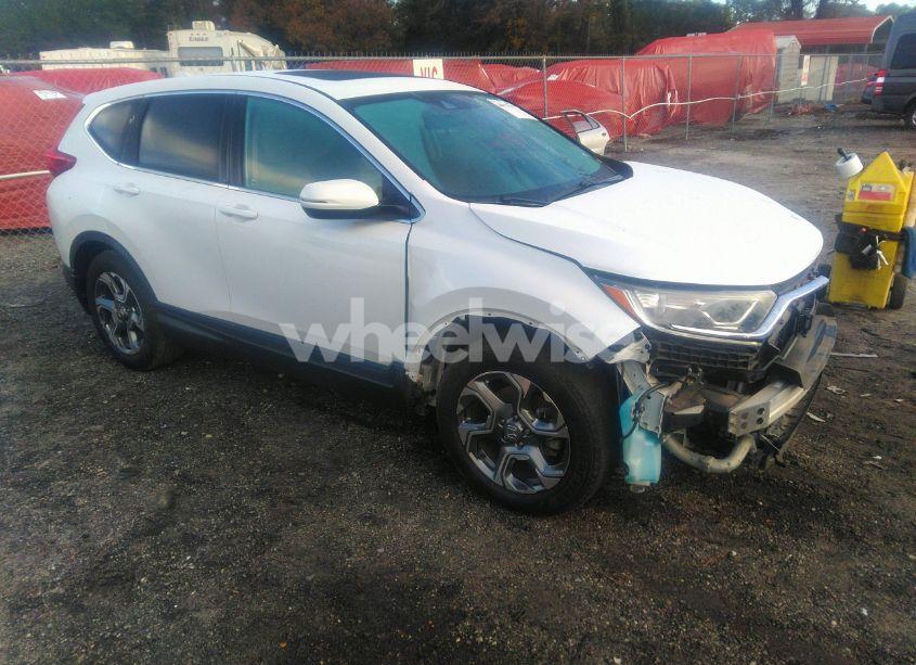 2019 Honda Cr-v EX (VIN 5J6RW1H58KA033556) main photo