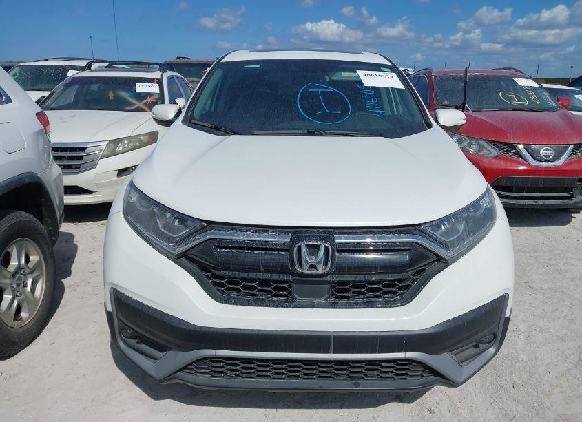 Photo 12 of 2022 Honda Cr-v 2WD EX (VIN 5J6RW1H58NA019628)