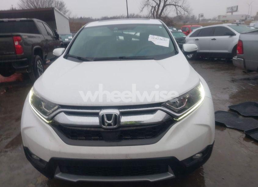 Photo 12 of 2019 Honda Cr-v EX (VIN 5J6RW1H59KA024378)