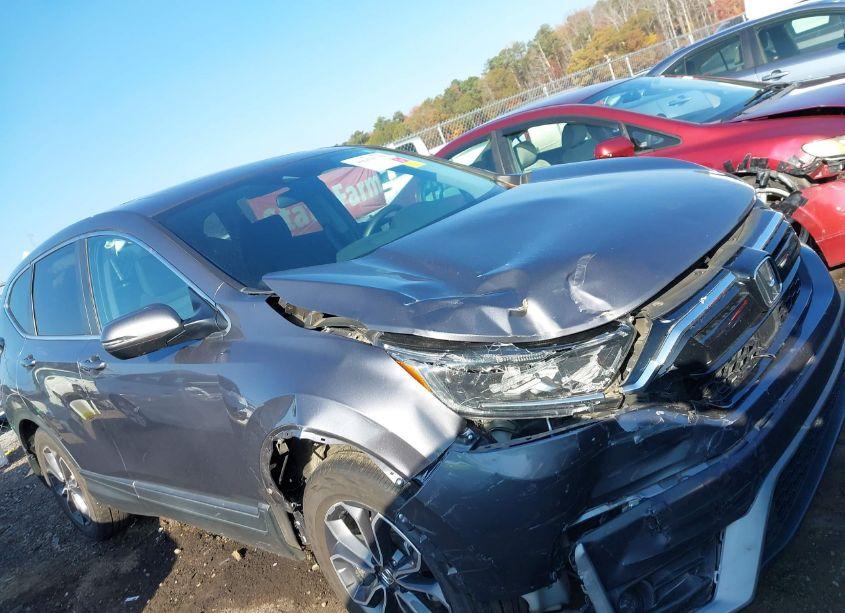 Photo 6 of 2020 Honda Cr-v 2WD EX (VIN 5J6RW1H59LL006999)