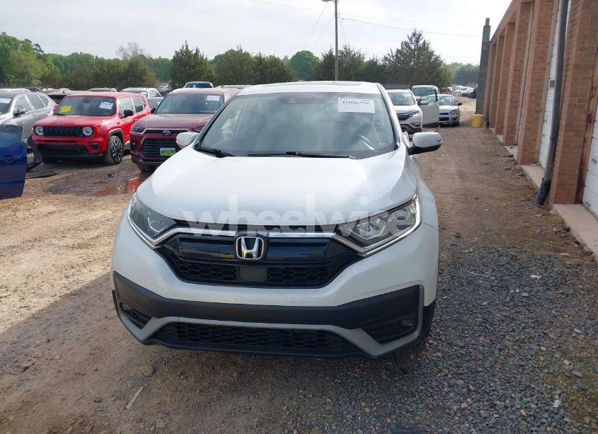 Photo 12 of 2022 Honda Cr-v 2WD EX (VIN 5J6RW1H59NA011781)